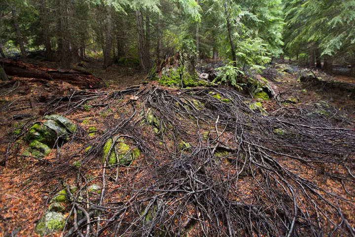 Maku Retreat — image 2