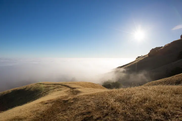 VIGS Retreat — image 7