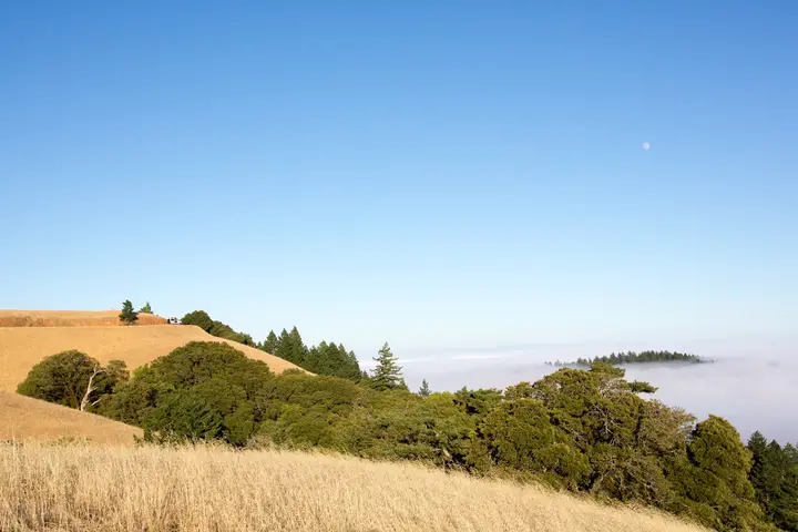 VIGS Retreat — image 6