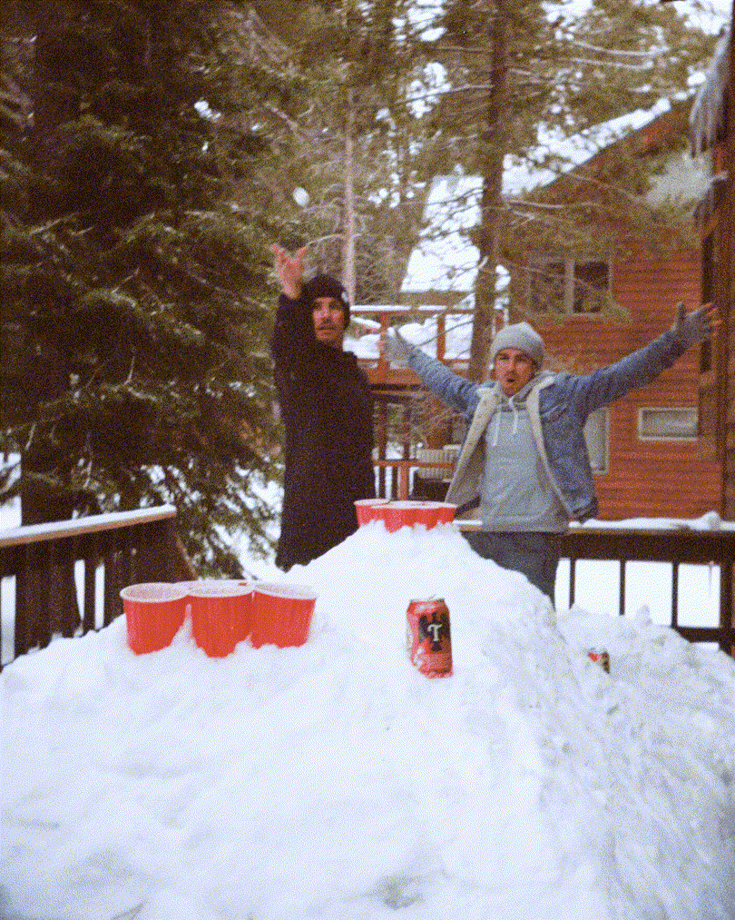 Winter Sticks — image 5